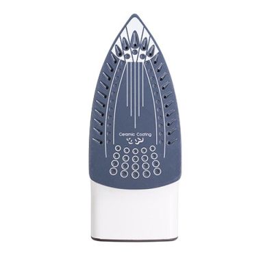 3. Adler AD 5030 steam iron (3000W; gray)