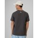 2. Men's regular printed T-shirt 4F 4FRSS26TTSHM4293-22S