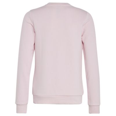 2. Adidas Big Logo Swt Jr IC6119 sweatshirt
