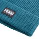 6. Puma Ribbed Classic Cuff Beanie 024038 11