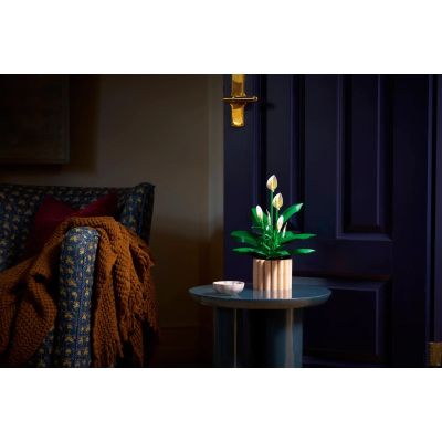 7. LEGO Botanical 11504 Spathiphyllum in a Pot