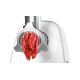 2. BOSCH MFW 2515W meat grinder