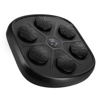 3. TB03 Bluetooth Electronic Boxing Target with Music and HMS Gloves