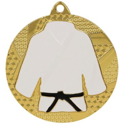 9. Gold medal judo/karate
