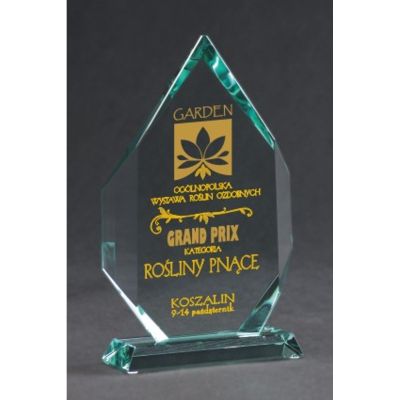 6. Engraved glass trophy with case + paint filling