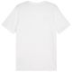 6. Puma Team Goal Casuals Tee M 658615 04