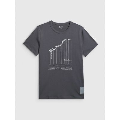 7. Men's regular printed T-shirt 4F 4FRAW25TTSHM3845-22S