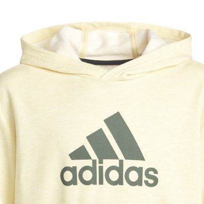 9. Adidas Badge of Sport Hoodie Jr sweatshirt HN8469