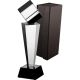 5. Glass trophy with case