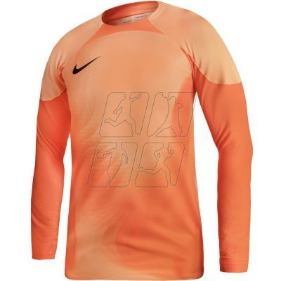 Nike Gardien IV Goalkeeper JSY M DH7967 819 goalkeeper jersey