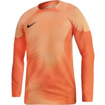 Nike Gardien IV Goalkeeper JSY M DH7967 819 goalkeeper jersey