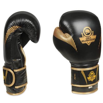 2. 10oz Boxing Gloves - Aureos - Valor Series