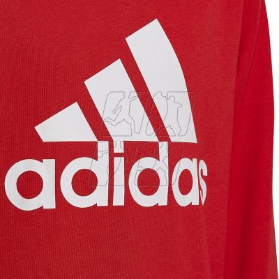 3. Sweatshirt adidas Big Logo Swt Jr HN1911