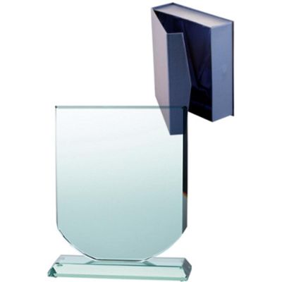 6. Glass trophy with case