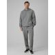 4. Men's regular hooded sweatshirt 4F 4FRSS26TSWSM2793-24M