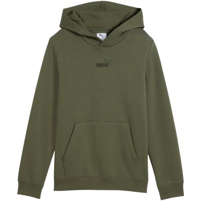 2. Puma ESS Small No. 1 Logo Centered Hoodie for Kids Khaki 692976 86