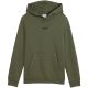 2. Puma ESS Small No. 1 Logo Centered Hoodie for Kids Khaki 692976 86