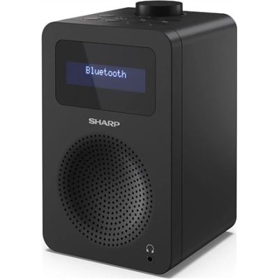 6. Sharp DR-430 Personal Digital Black