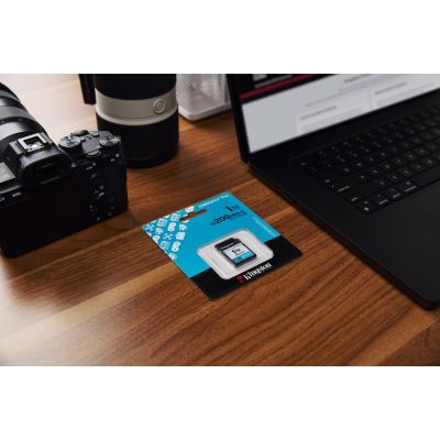 9. Kingston Canvas Go Plus SDG4/1TB Memory Card (1TB; Class U3, V30; Memory Card)