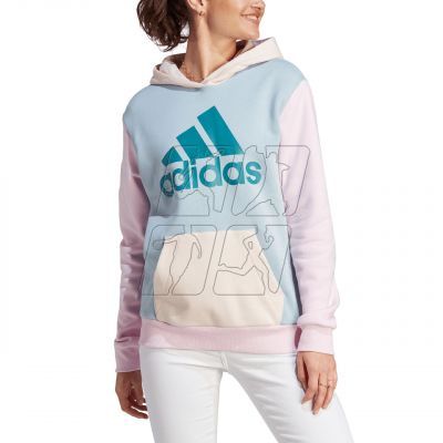 2. adidas Essentials Logo Boyfriend Fleece W IM0267 sweatshirt