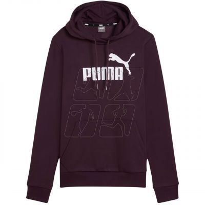 2. Puma ESS Logo Hoodie FL W 586789 46