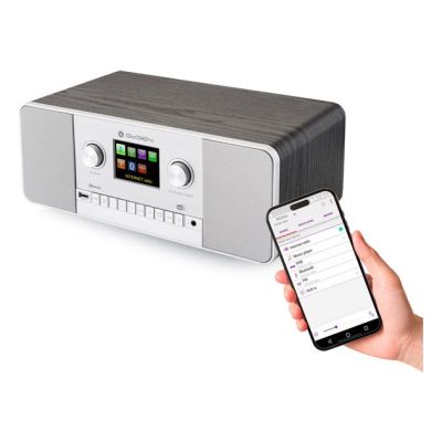7. GoGen IR 257 BTDAB Digital Internet Silver