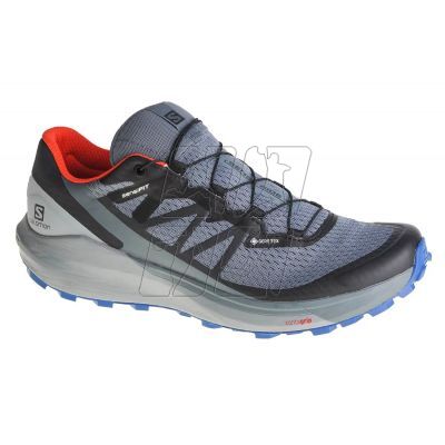 5. Shoes Salomon Sense Ride 4 GTX M 413778