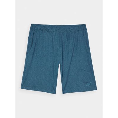 3. Men's 4F quick-drying regular training shorts 4FWAW24TFSHM698-46M