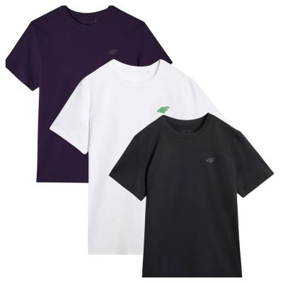 T-shirts 4F M 4FWSS25TTSHM3965-95S