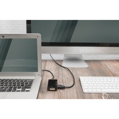 3. Digitus DisplayPort 3-in-1 Converter Cable