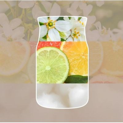 2. SEASIDE WOODS YANKEE Mini Candle