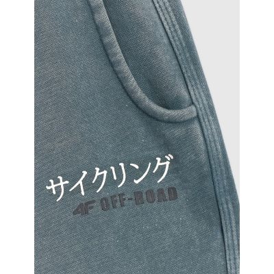 7. Boys' jogger sweatpants 4F 4FJRAW25TTROM1528-46S