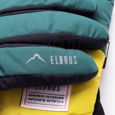 2. Elbrus Pionte gloves 92800553527