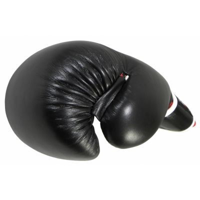 8. MASTERS RBT-A Boxing Gloves (PRICE CHANGE)