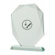 3. Engraved glass trophy with case + paint filling