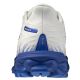 4. Mizuno Wave Skyrise 6 M J1GC250954 shoes
