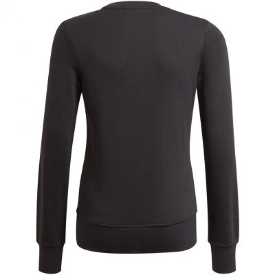3. Adidas Essentials Big Logo Jr GP0040 sweatshirt