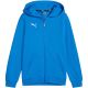 4. Puma teamGoal Casuals Hooded Jr sweatshirt 658596 02