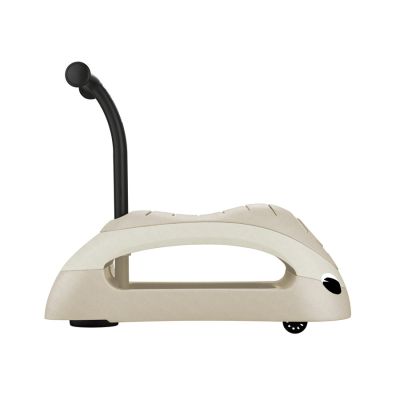 6. 2-in-1 walker/rider WALK N' ROLL ECOLOGIC (830-566)