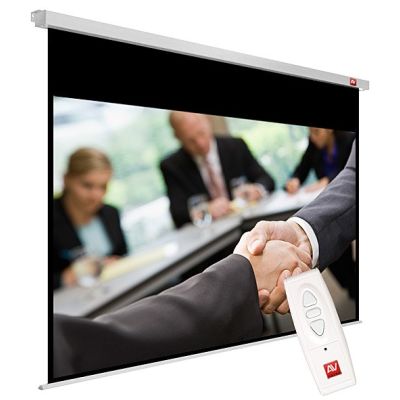 12. AVTEK BUSINESS ELECTRIC SCREEN 300P