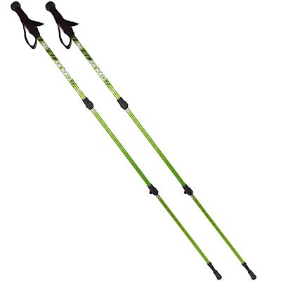 8. NORDIC WALKING TRAVEL POLES IN ENERO CASE