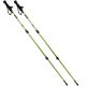 8. NORDIC WALKING TRAVEL POLES IN ENERO CASE