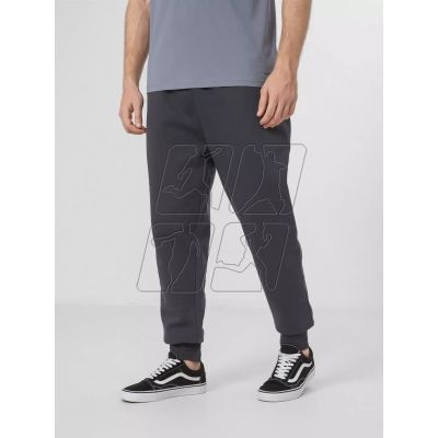 3. Trousers Outhorn M OTHAW22TTROM024-31S