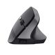 2. TRUST BAYO II ERGONOMIC WIRELESS MOUSE BLK (25145)