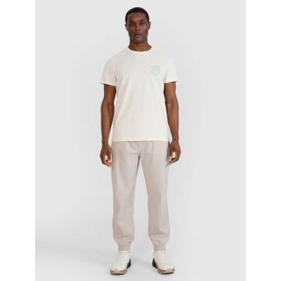 4. Men's regular printed T-shirt 4F 4FWSS25TTSHM1980-11S