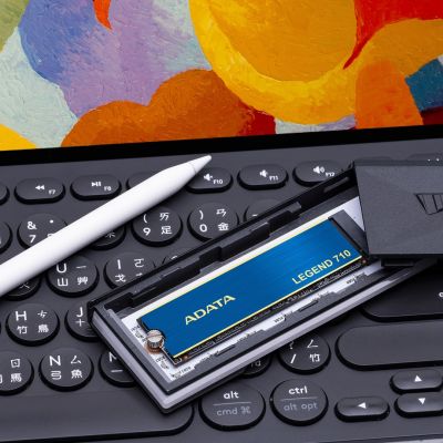 21. ADATA Legend 710 256GB PCIe 2280 SSD