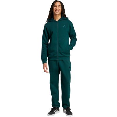 3. adidas Colorblock Hooded Tracksuit M JL8600