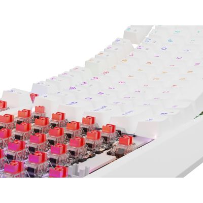 14. GENESIS Thor 230 TKL Gaming Keyboard USB QWERTY US English White