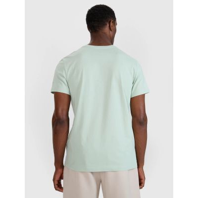 5. Men's regular printed T-shirt 4F 4FWSS25TTSHM1980-47S