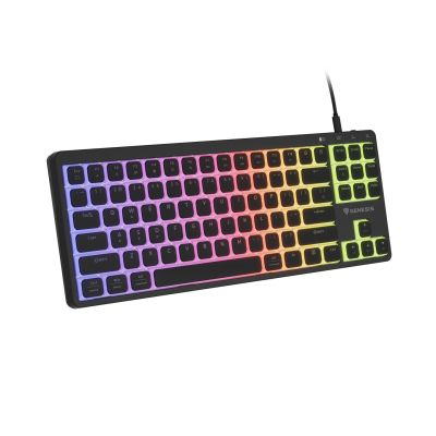6. GENESIS Thor 430 TKL Gaming Keyboard USB QWERTY US English Black